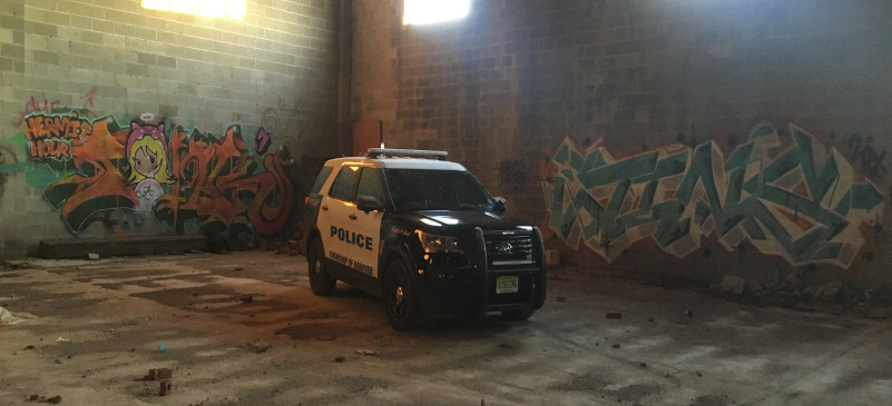 Cops and Taggers- Investigating Graffiti Crimes